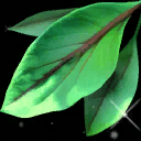 Item silverleaf.png