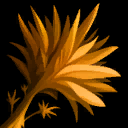Item sunbloom.png