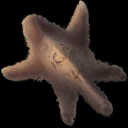 Item primal pelt.png