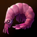 Item shrimp.png